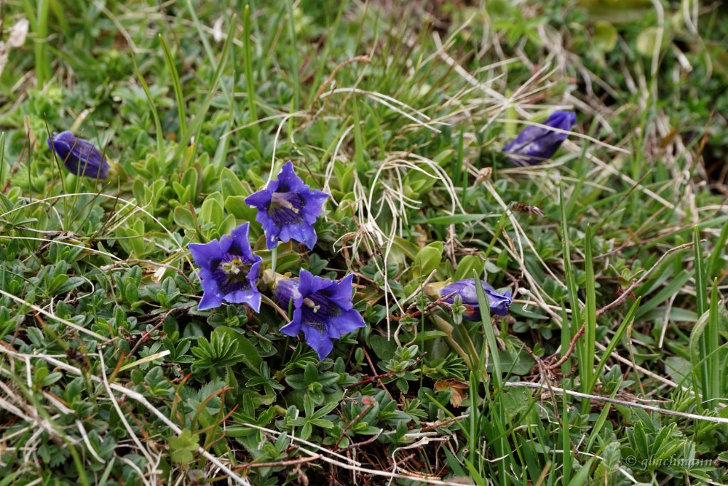 20140531_176